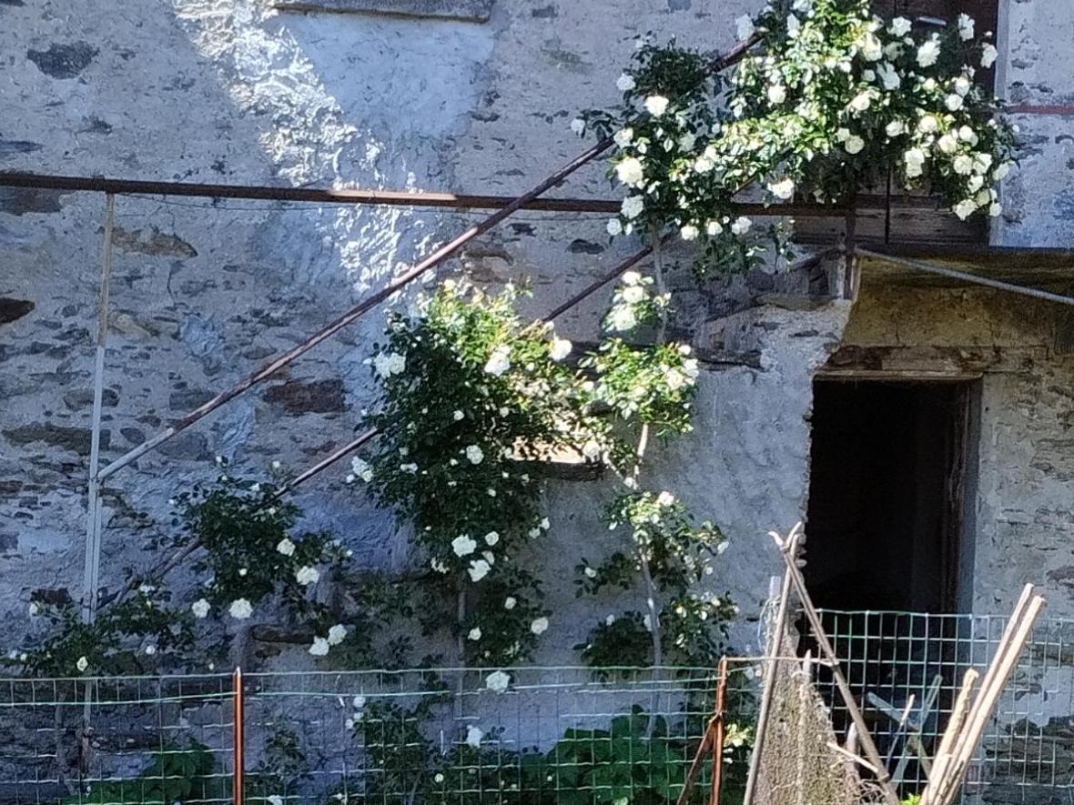 Il Forno Appartement Cossogno Buitenkant foto